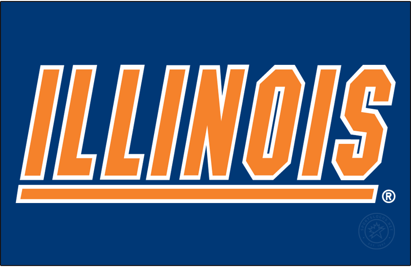 Illinois Fighting Illini 1995-2014 Primary Dark Logo v2 diy DTF decal sticker